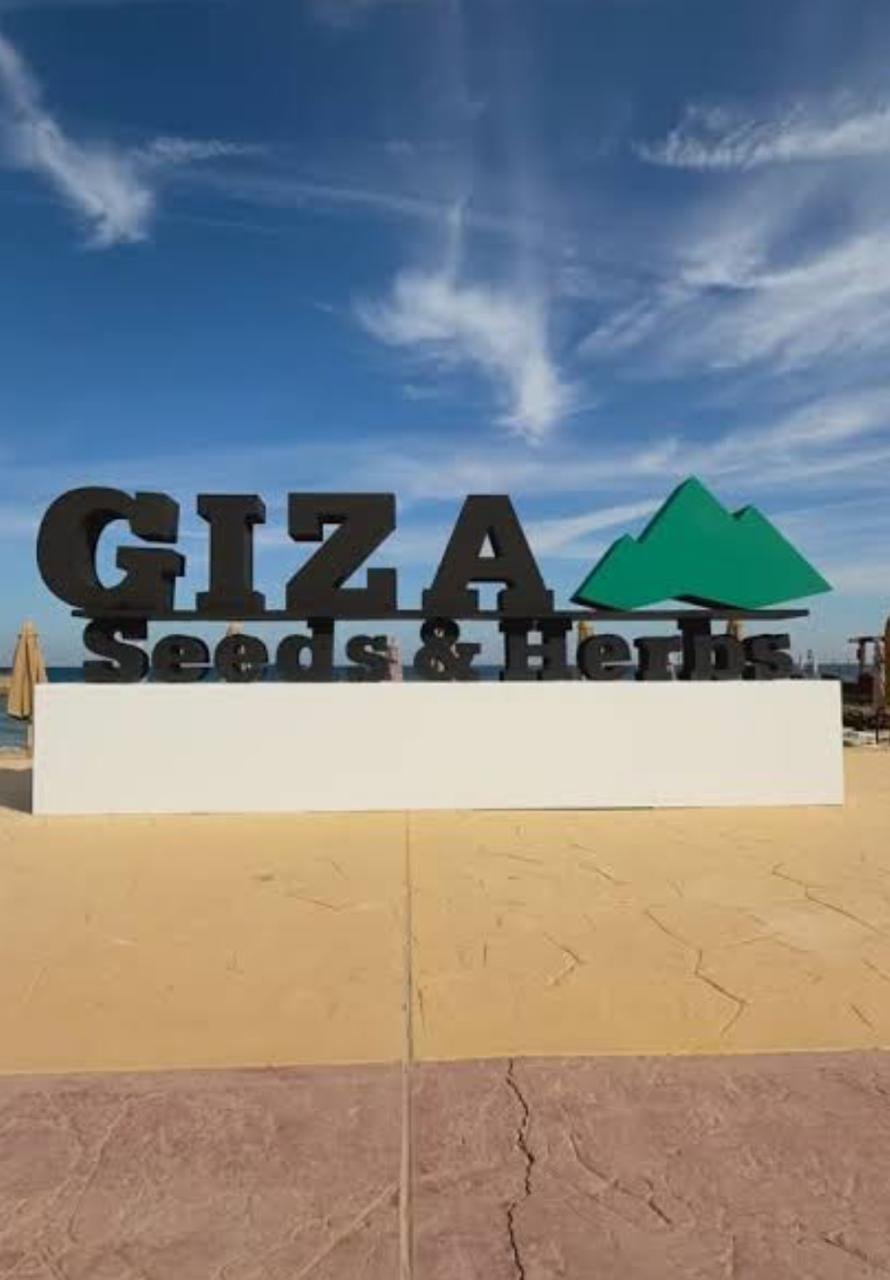 Madinet Nasr for Housing & Development